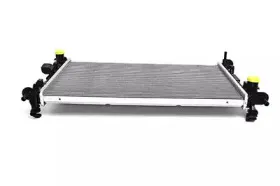 Радиатор, охлаждение двигателя BSG купить